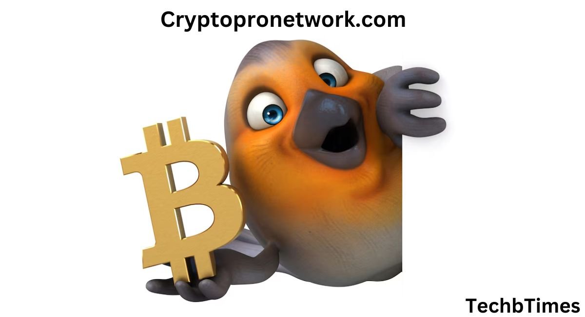 Cryptopronetwork.com