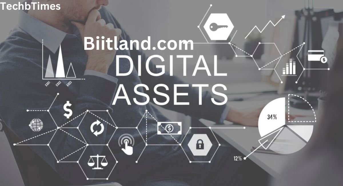 biitland.com digital assets