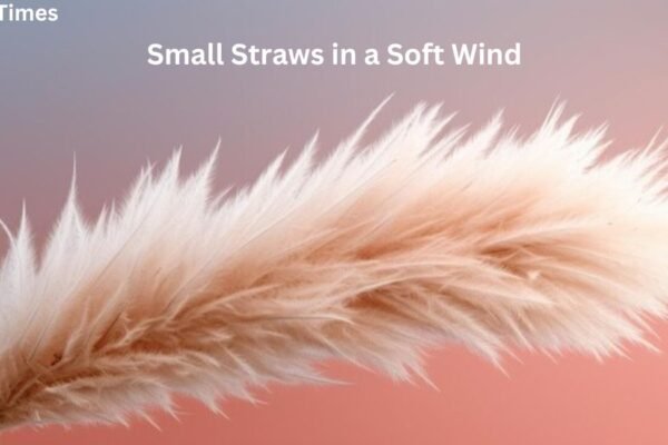 small straws in a soft wind