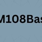 DM108Basic